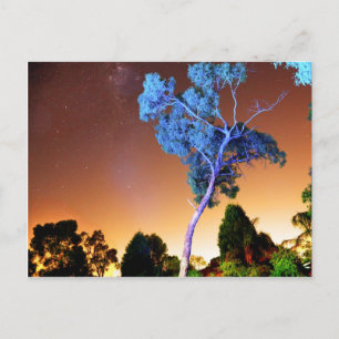 Carte Postale Pièce créative