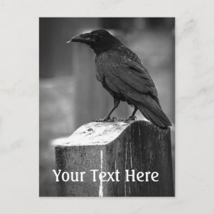 Carte Postale Pièce Trouvée