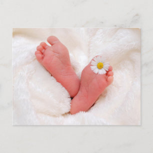 Carte Postale Pieds bébé avec marguerite