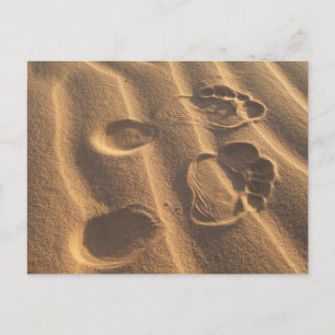 CARTE POSTALE PIEDS DE SABLE