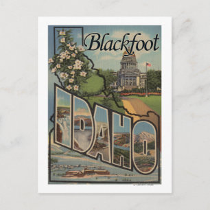 Carte Postale Pieds Noirs, Idaho - Grandes Scènes De Lettre