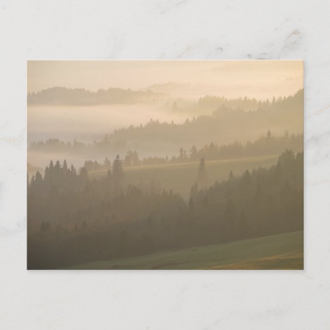 Carte Postale Pieniny brouillard (Devant)