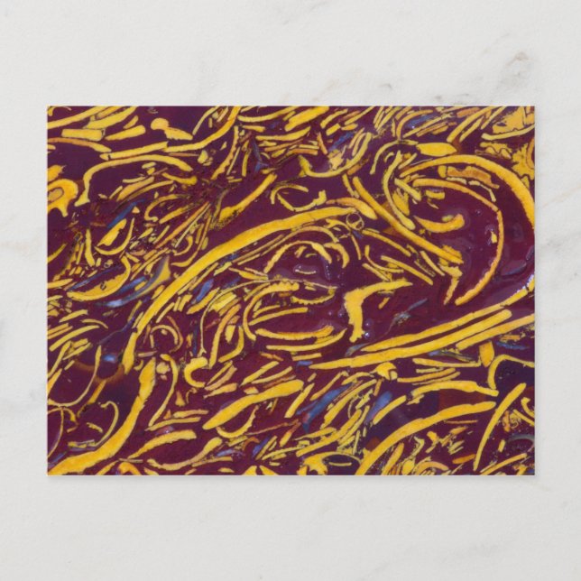 Carte Postale Pierre de script (Devant)