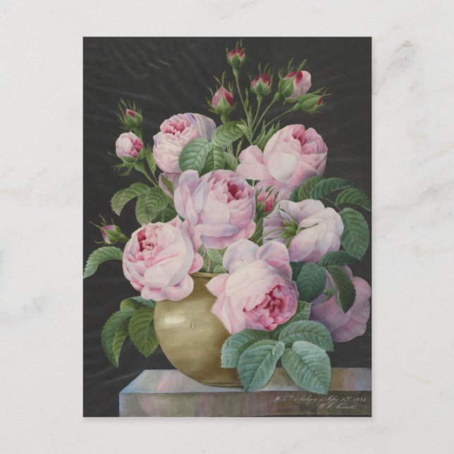 Carte Postale Pierre Joseph Redoute - Roses Roses Rose Dans Un V (Devant)