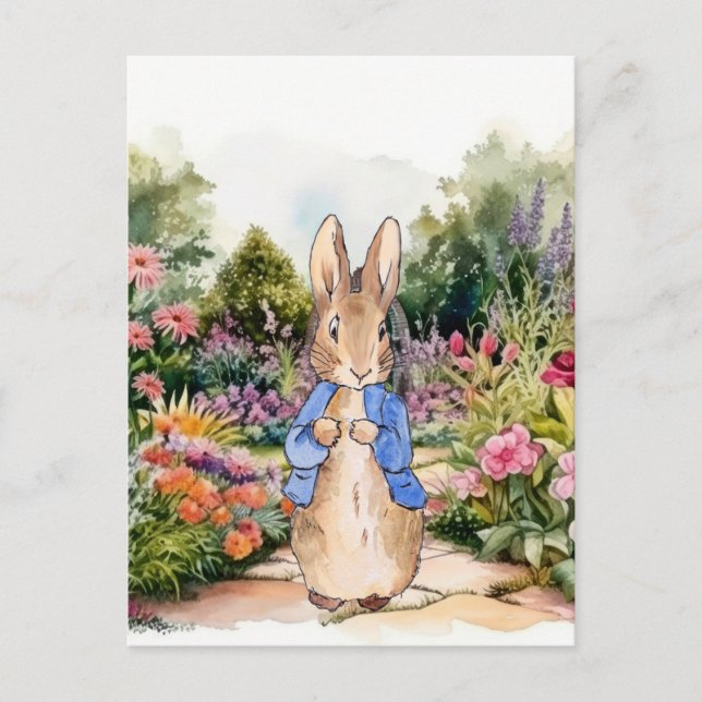 Carte Postale Pierre le lapin dans son jardin (Devant)