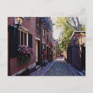 Carte Postale Pierre rouge Fleurs de rue Acorn