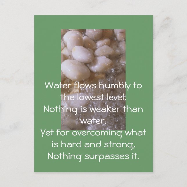 Carte Postale Pierres humides (Devant)