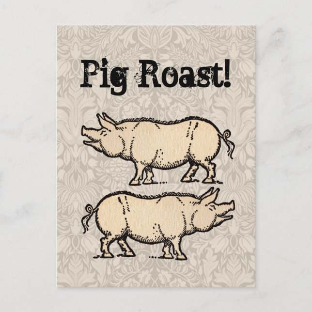 Carte Postale Pig Antique Piggy Cute Illustration Vintage (Devant)