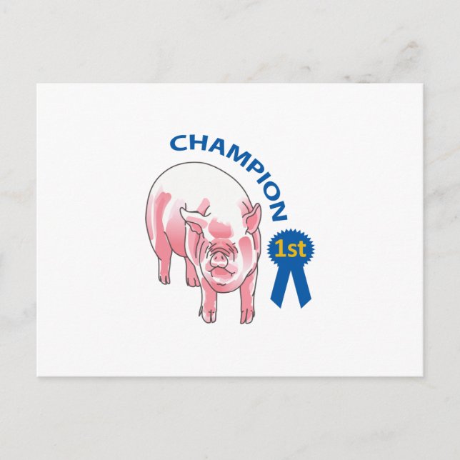 CARTE POSTALE PIG CHAMPION (Devant)