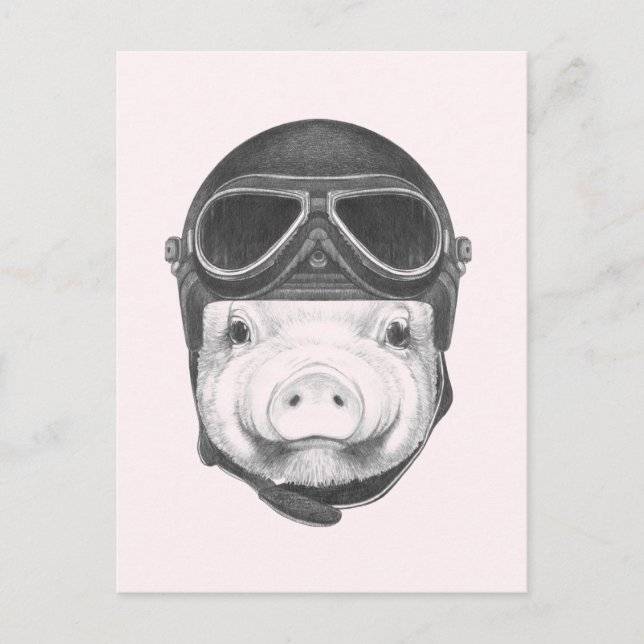 Carte Postale Pig Daredevil (Devant)