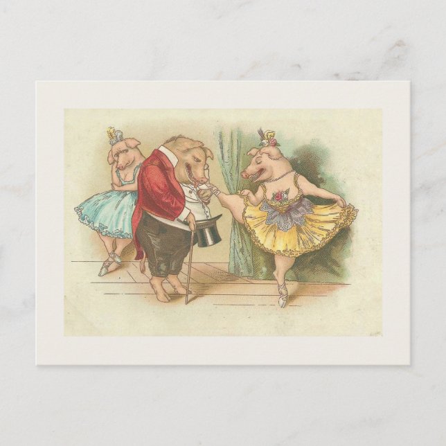 Carte Postale Pig de ballet (Devant)