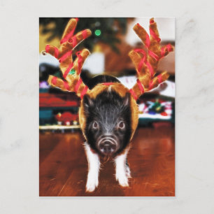 Carte postale Pig de Noël