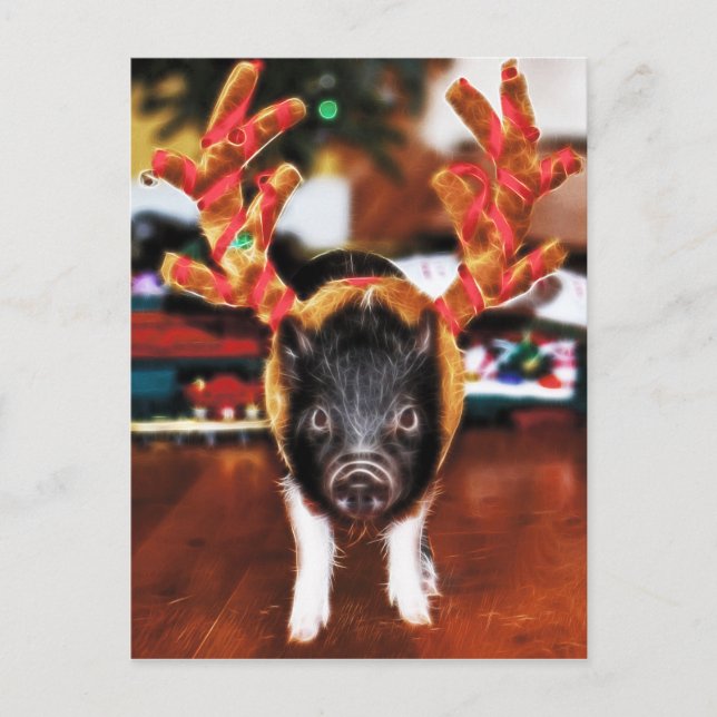 Carte postale Pig de Noël (Devant)