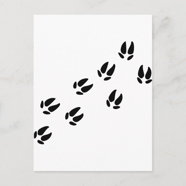 Carte Postale Pig - Traces (Devant)