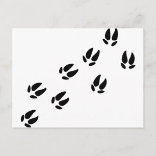 Carte Postale Pig - Traces