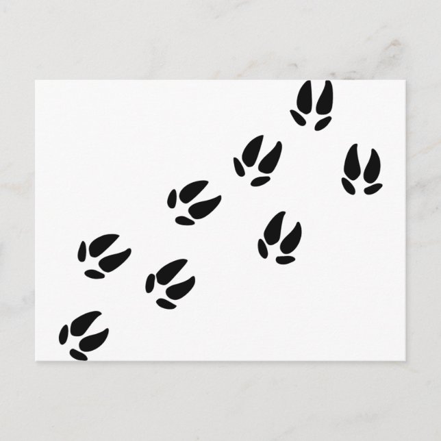 Carte Postale Pig - Traces (Devant)