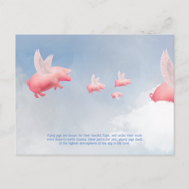 Carte Postale Pig volant (Devant)