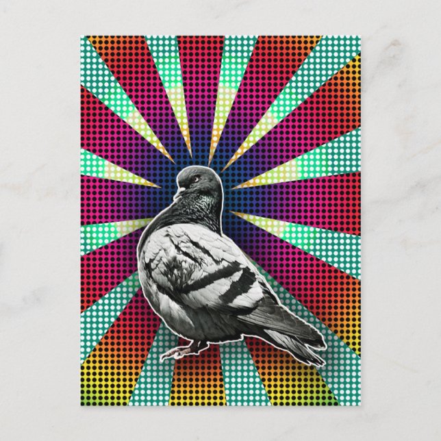 Carte postale Pigeon (Devant)
