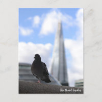 Pigeon de Londres avec vue sur la Barbe en arrière