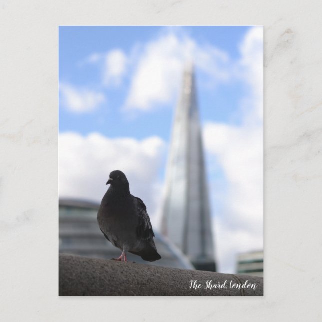 Carte Postale Pigeon de Londres avec vue sur la Barbe en arrière (Devant)