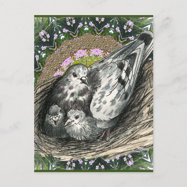 Carte Postale Pigeon Nest (Devant)