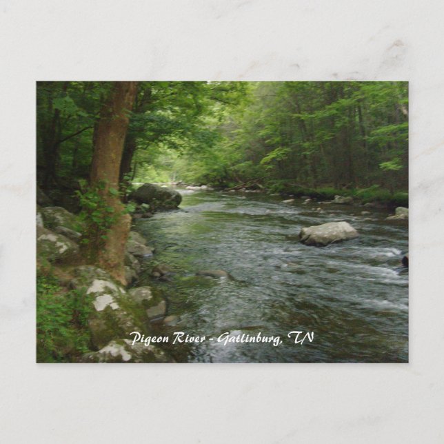 Carte Postale Pigeon River - Gatlinburg, TN (Devant)