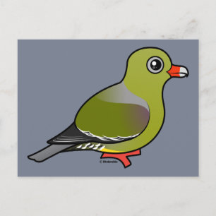 Carte Postale Pigeon vert d'Afrique