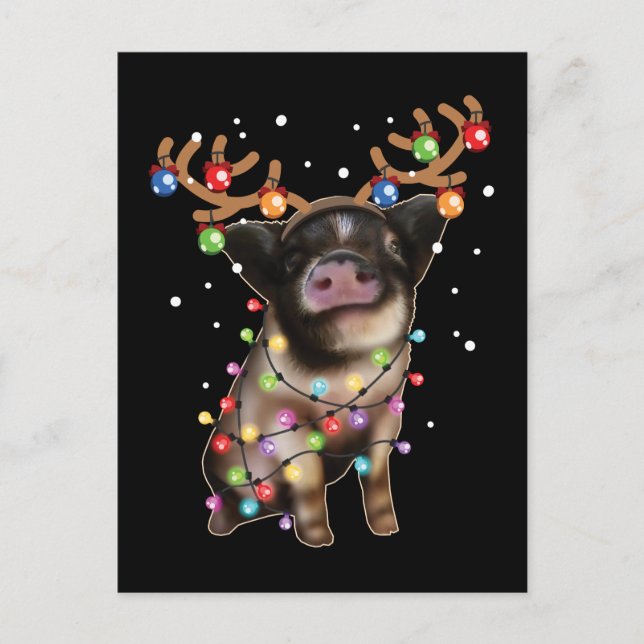 Carte Postale Piggy mignonne, Louveur de cochon Drôle cadeau de  (Devant)