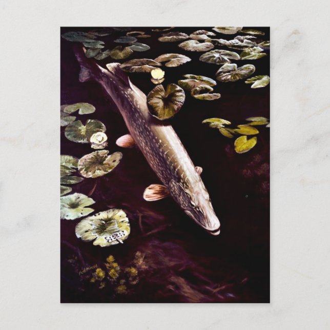 Carte Postale Pike du Nord (Devant)