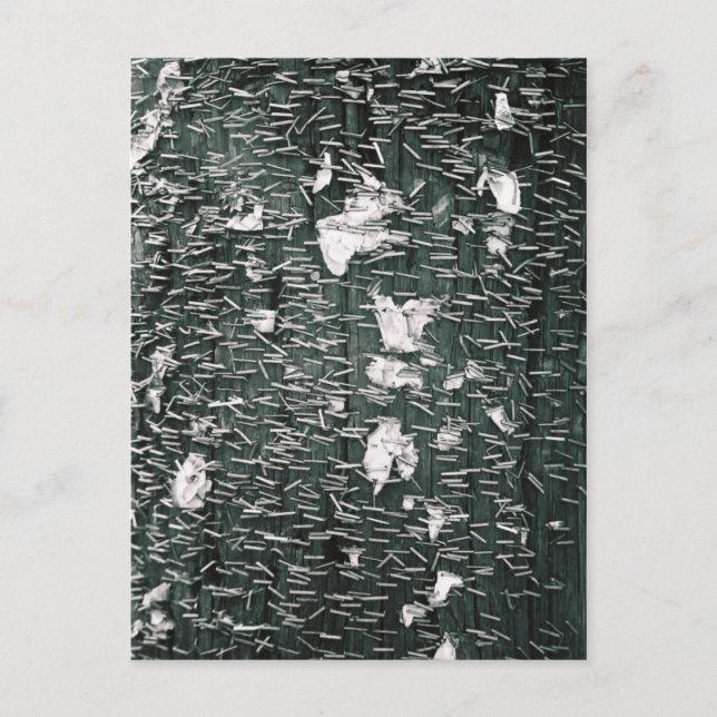 Carte Postale Piles (Devant)