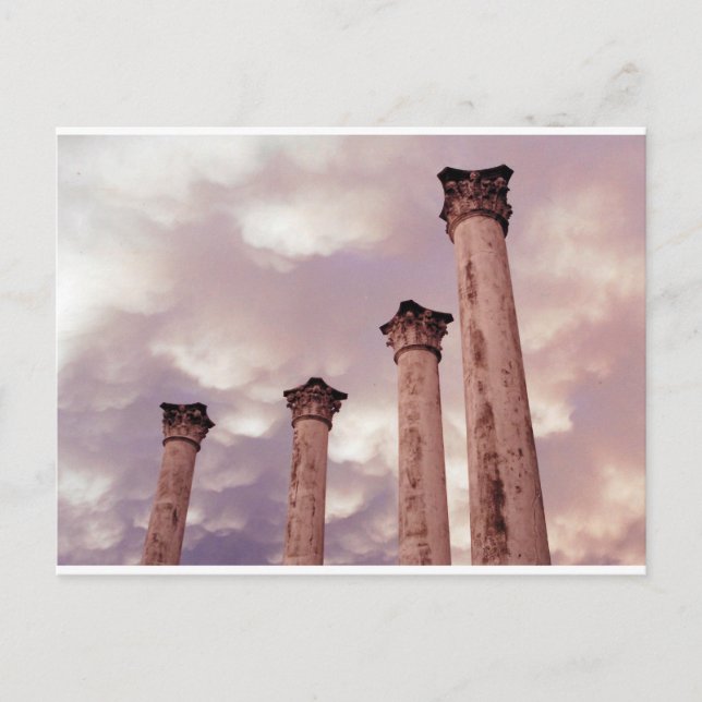 Carte Postale Piliers de charleston (Devant)