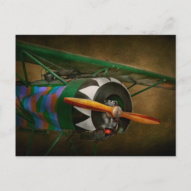 Carte Postale Pilote - Avion - Batteur allemand WW1 - Fokker D V (Devant)