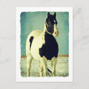 Carte Postale Pinceau noir et blanc