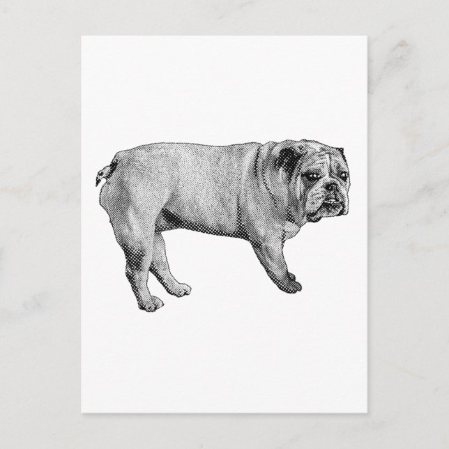 Carte postale Pine-Edge (Devant)