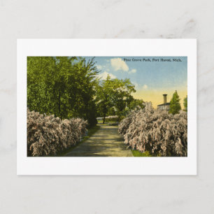 Carte Postale Pine Grove Park Port Huron Michigan Vintage