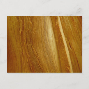 Carte Postale Pine Wood II Faux Texture en bois