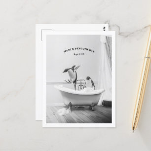 Carte Postale Pingouin dans une baignoire