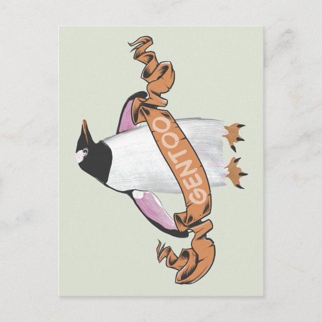 Carte Postale Pingouin Gentoo (Devant)