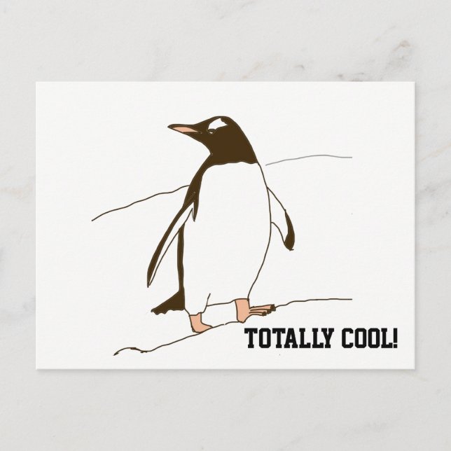Carte Postale Pingouin noir et blanc (Devant)