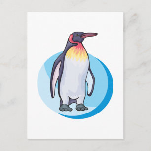 Carte Postale pingouin roi