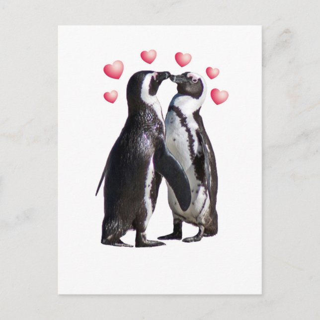 Carte Postale Pingouin Romance (Devant)