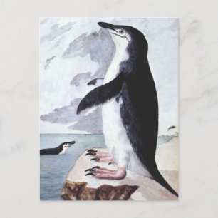 Carte Postale Pingouin vintage Chinstrap, Oiseaux de l'Antarctiq