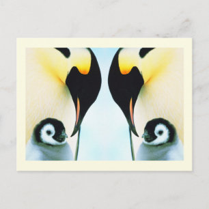 Carte Postale Pingouins