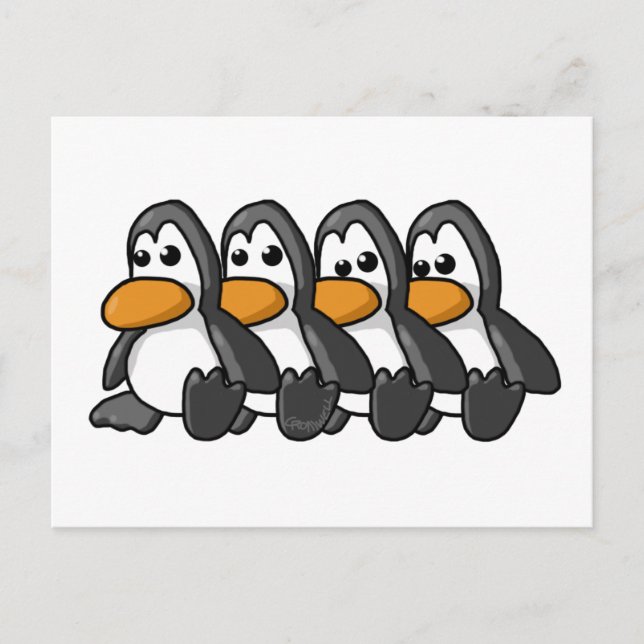 Carte Postale Pingouins (Devant)