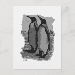 Carte Postale Pingouins