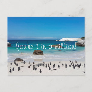 Carte Postale Pingouins drôles Merci