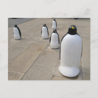 Carte Postale Pingouins du front de mer