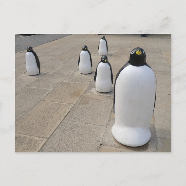 Carte Postale Pingouins du front de mer (Devant)