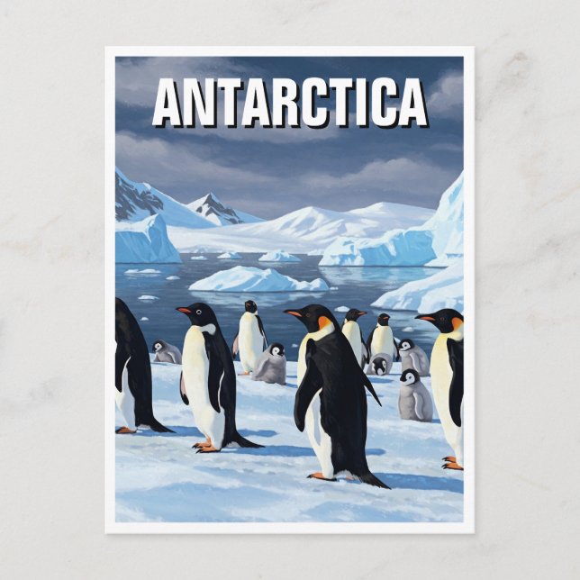 Carte Postale Pingouins en Antarctique (Devant)