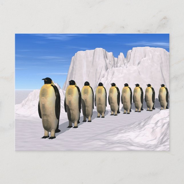 Carte Postale Pingouins marchants (Devant)